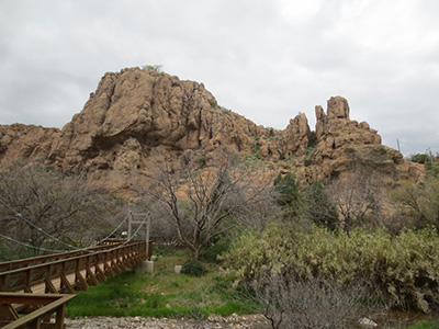 Boyce Arboretum